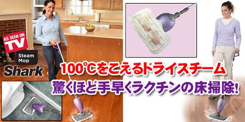 �X�`�[�����b�v���ʂŃs�J�s�J��